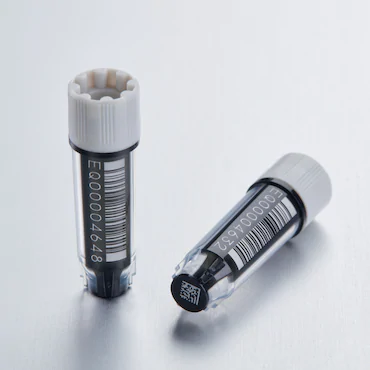 艾本德Eppendorf CryoStorage Vial，無(wú)菌, 無(wú)菌, 0.5 mL, 不含 DNase、RNase、人類(lèi) DNA 和內(nèi)毒素；外螺紋，預(yù)先加蓋灰色管蓋，帶 2D SafeCode 